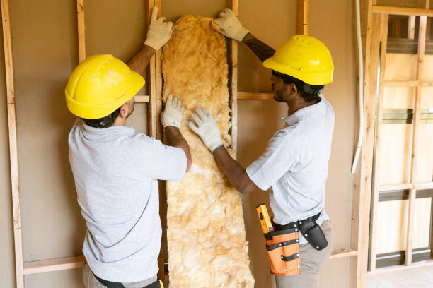 Types of Insulation We Offer in Alexandria, AL